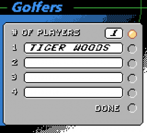 Tiger Woods PGA Tour 2000 06