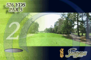 Tiger Woods PGA Tour Golf 04