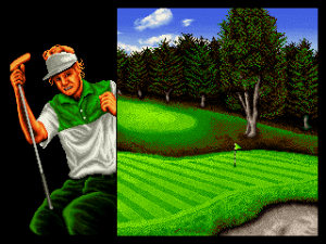 Top Player's Golf 03